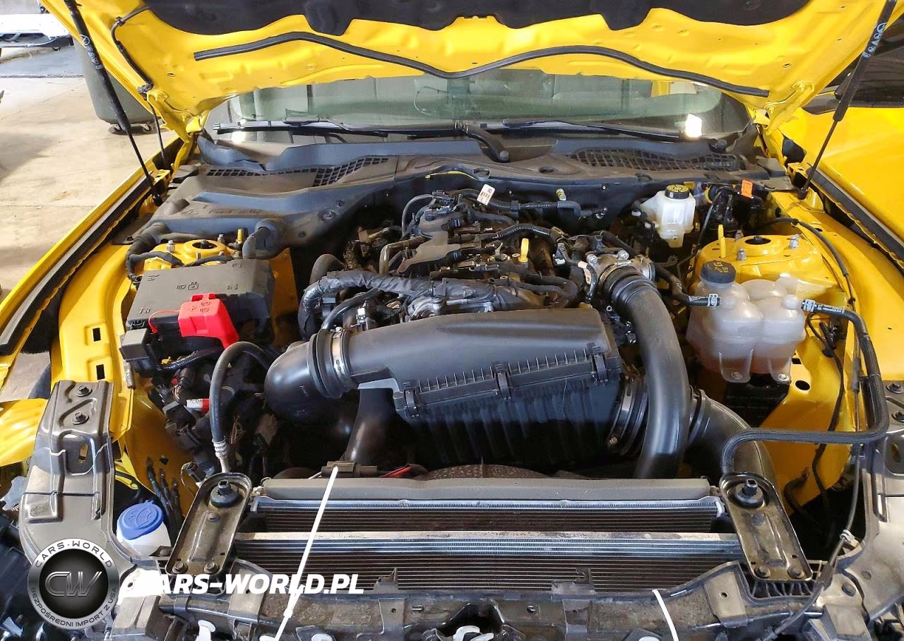 2024 Ford Mustang VIN:1FA6P8TH0R5139654 - 11