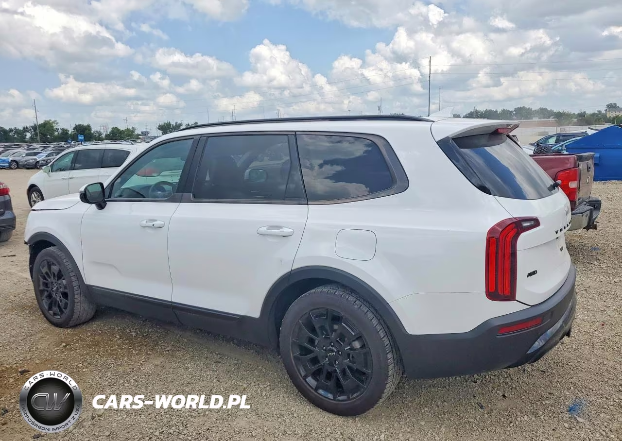 2022 Kia Telluride Sx VIN:5XYP5DHC7NG321797 - 2