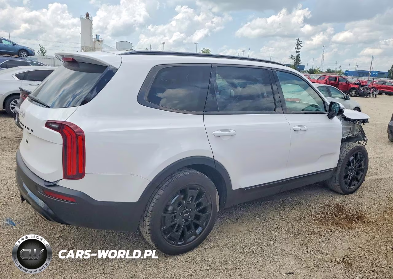 2022 Kia Telluride Sx VIN:5XYP5DHC7NG321797 - 3