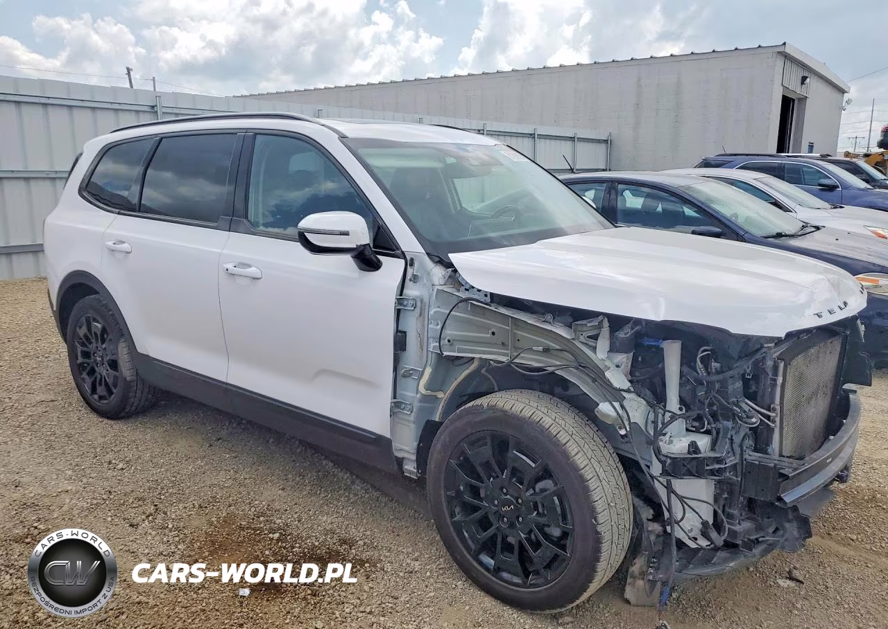 2022 Kia Telluride Sx VIN:5XYP5DHC7NG321797 - 4