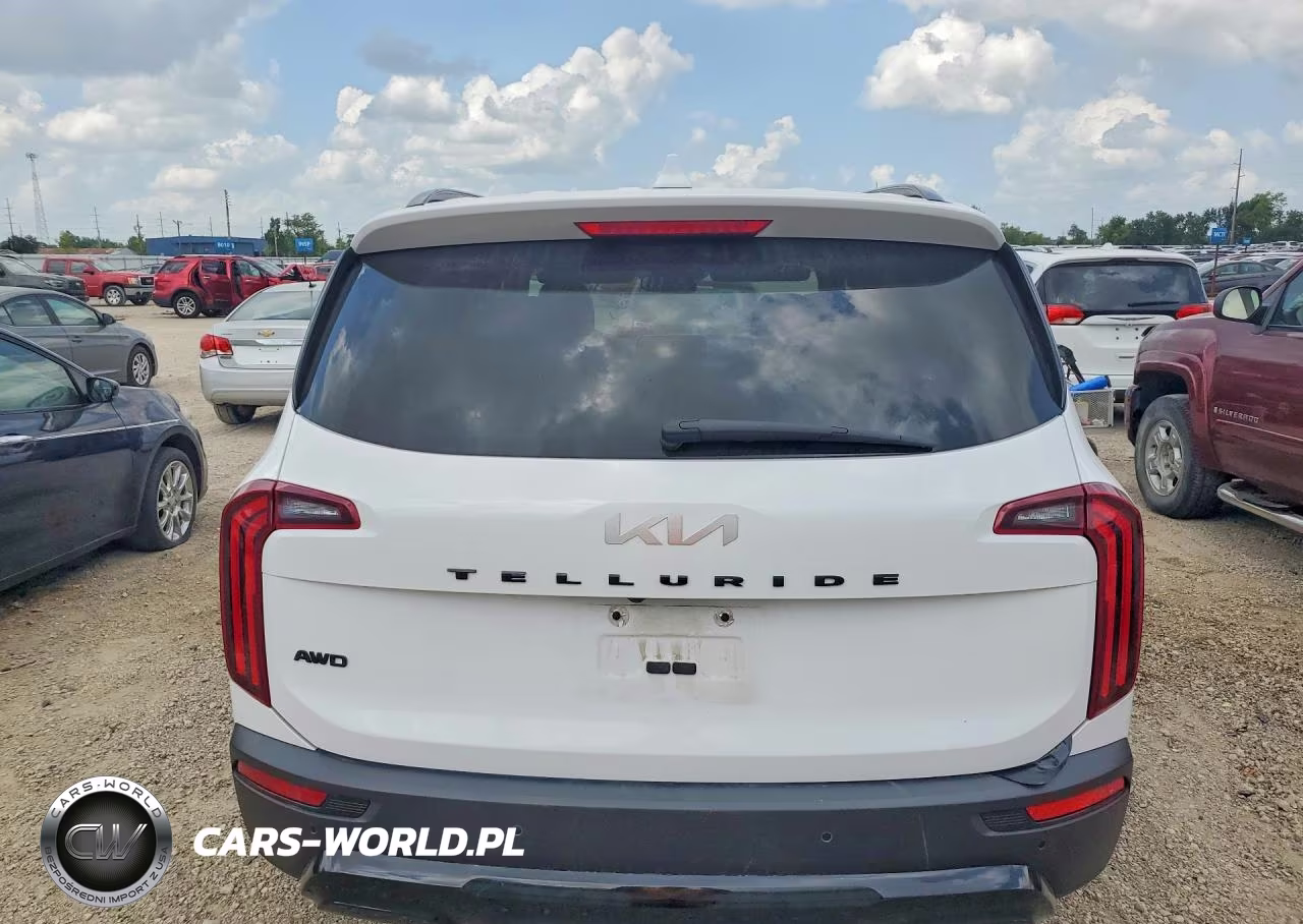 2022 Kia Telluride Sx VIN:5XYP5DHC7NG321797 - 6