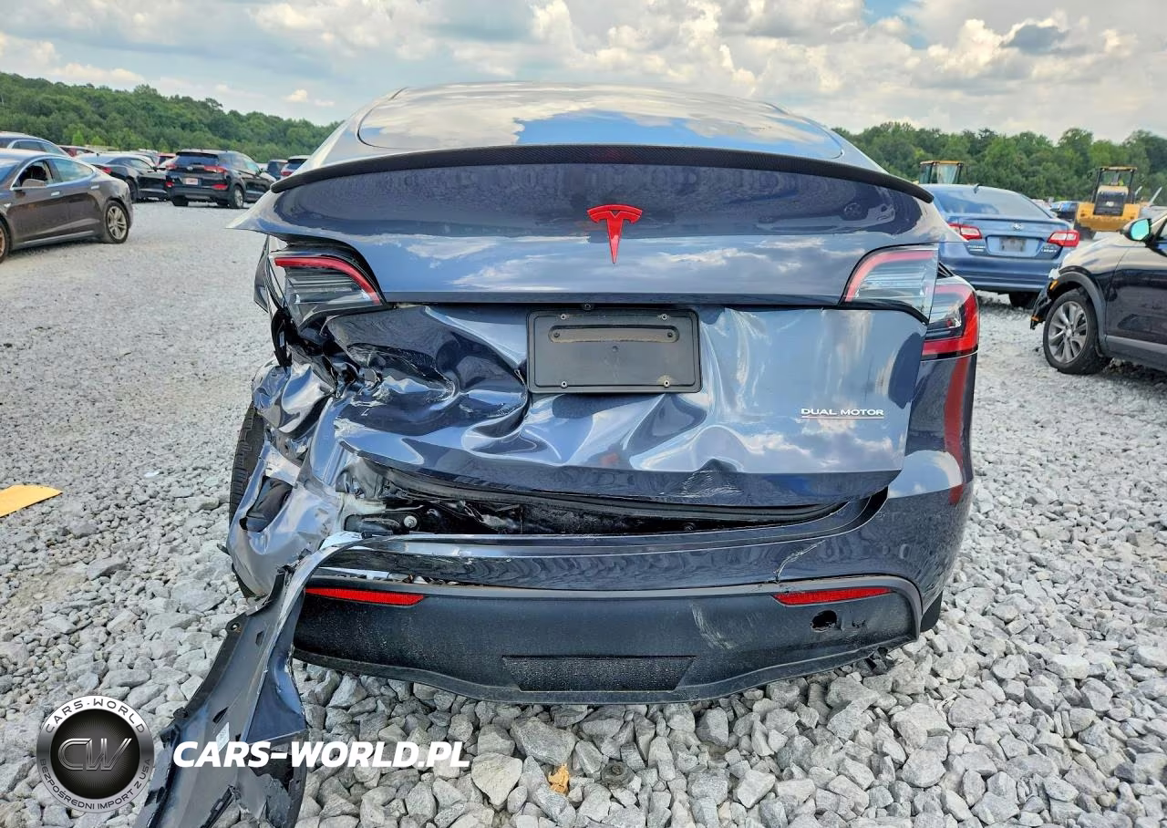 2023 Tesla Model Y VIN:7SAYGDEF4PF703070 - 6