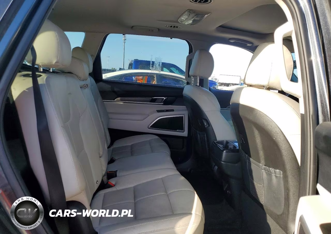 2020 Kia Telluride Ex VIN:5XYP34HC5LG047938 - 11