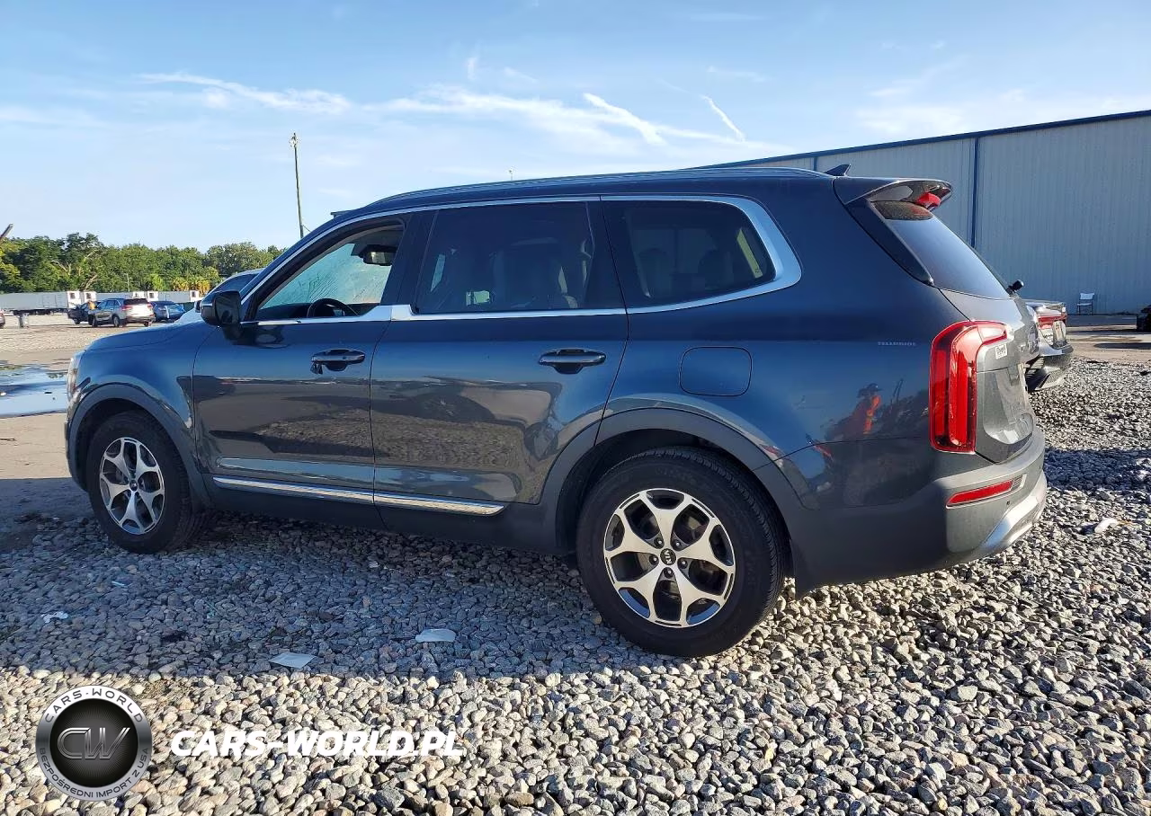 2020 Kia Telluride Ex VIN:5XYP34HC5LG047938 - 2