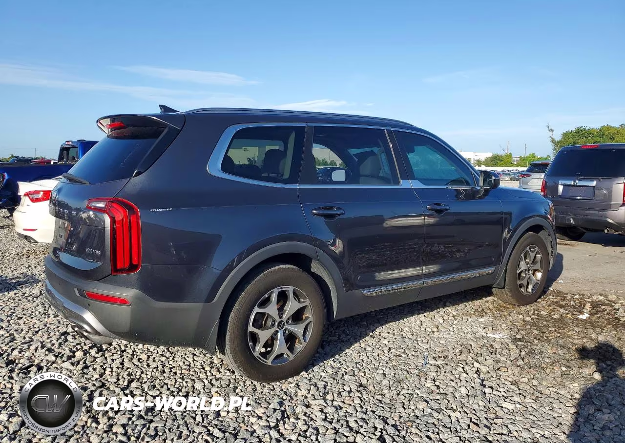 2020 Kia Telluride Ex VIN:5XYP34HC5LG047938 - 3