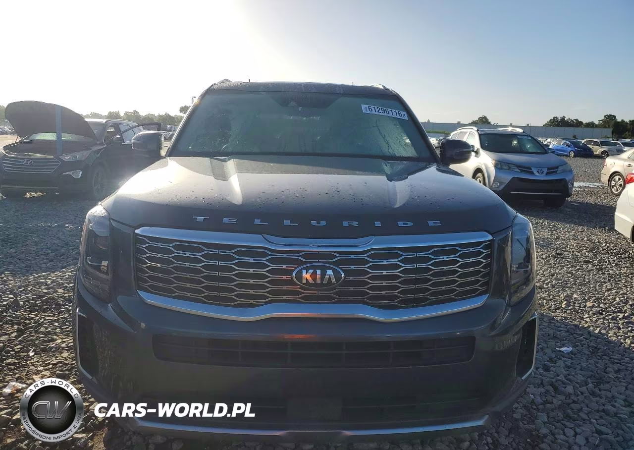 2020 Kia Telluride Ex VIN:5XYP34HC5LG047938 - 5