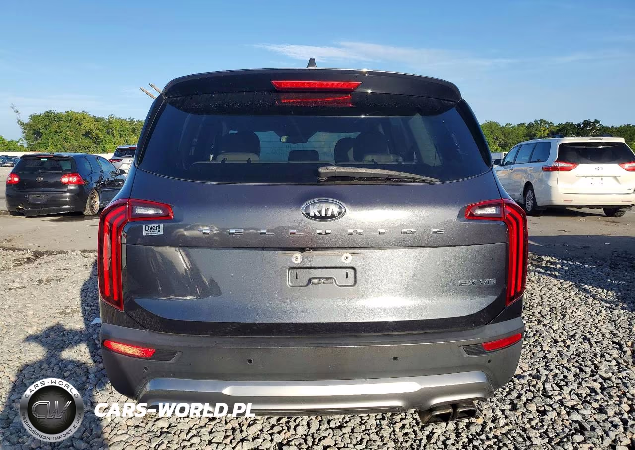 2020 Kia Telluride Ex VIN:5XYP34HC5LG047938 - 6