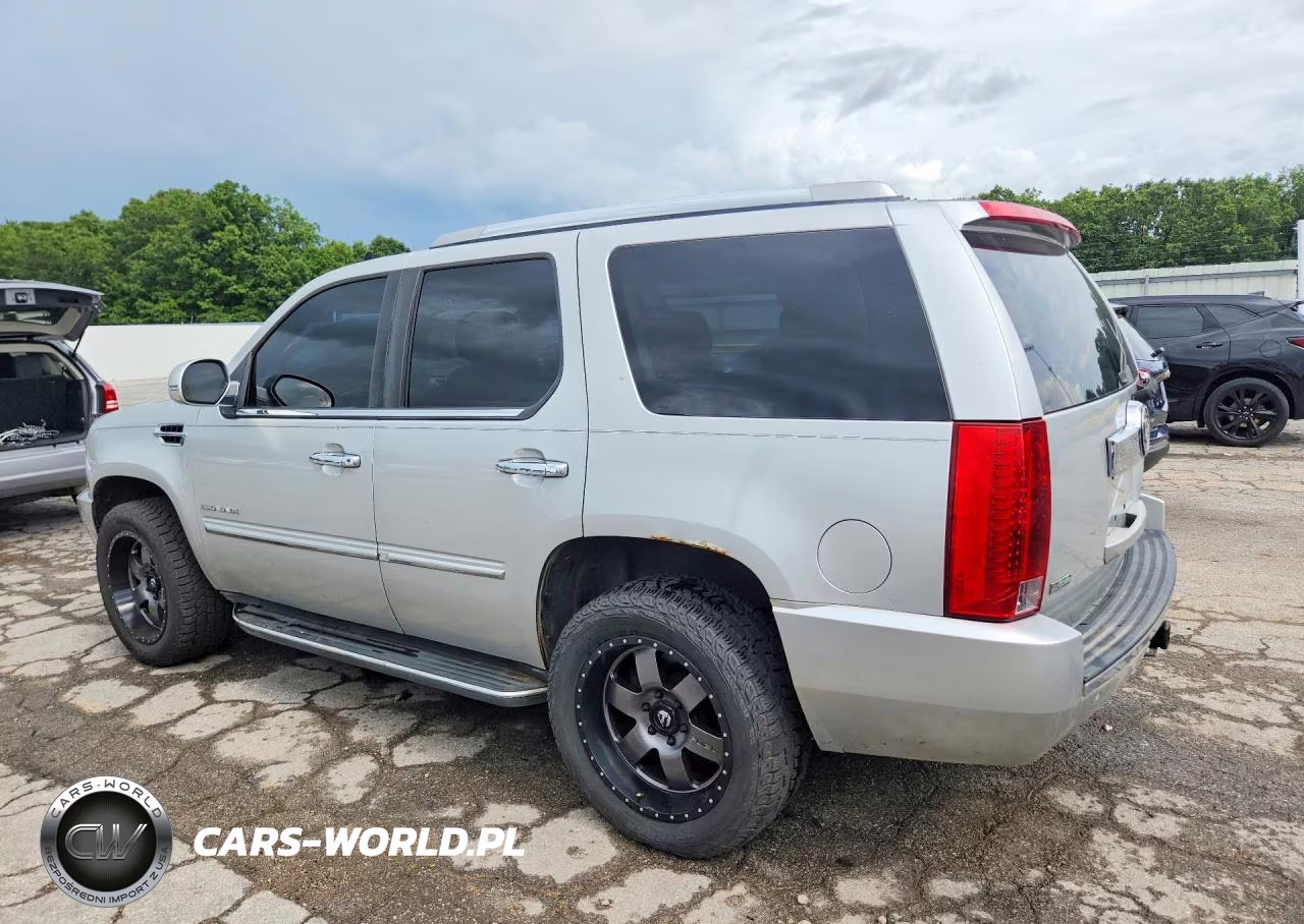 2010 Cadillac Escalade Luxury VIN:1GYUKBEF3AR111542 - 2