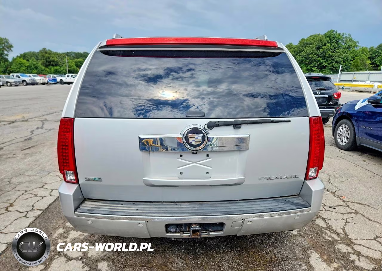 2010 Cadillac Escalade Luxury VIN:1GYUKBEF3AR111542 - 6