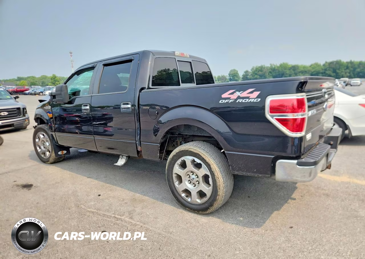 2010 Ford F150 Supercrew VIN:1FTFW1EV0AFA18905 - 2