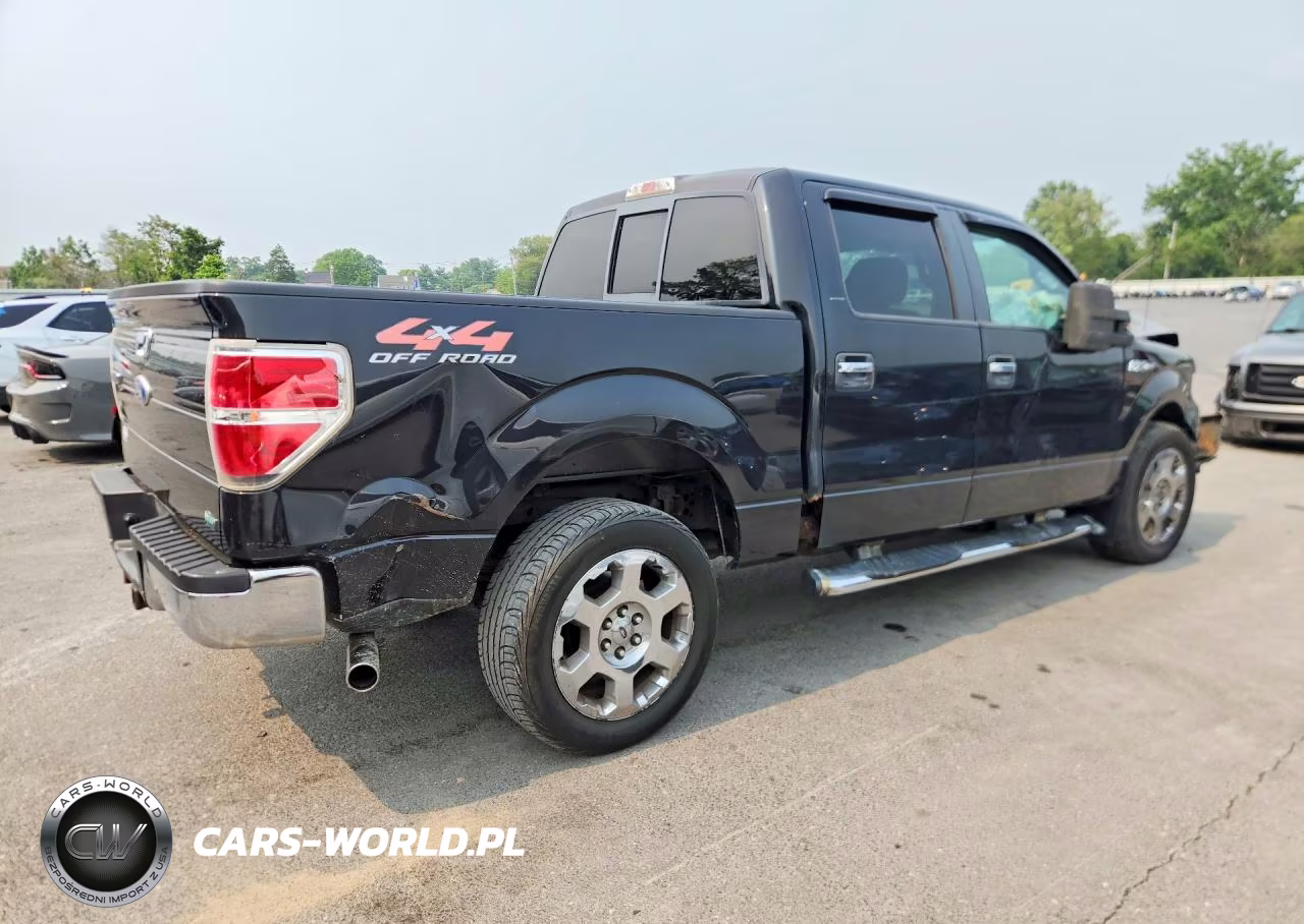 2010 Ford F150 Supercrew VIN:1FTFW1EV0AFA18905 - 3