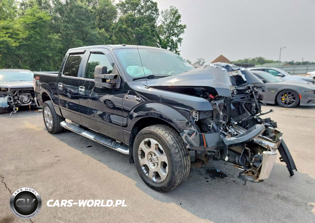 2010 Ford F150 Supercrew VIN:1FTFW1EV0AFA18905 - 4