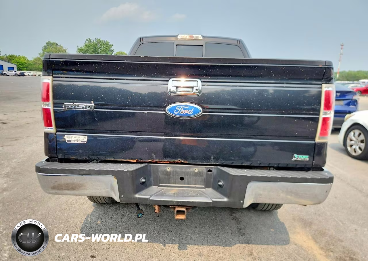 2010 Ford F150 Supercrew VIN:1FTFW1EV0AFA18905 - 6