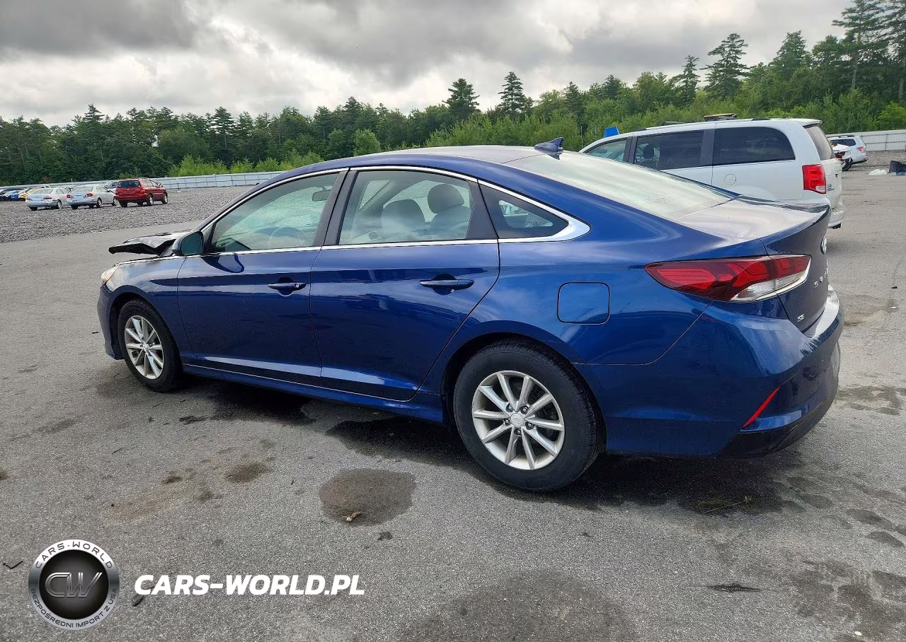 2019 Hyundai Sonata Se VIN:5NPE24AF6KH787827 - 2