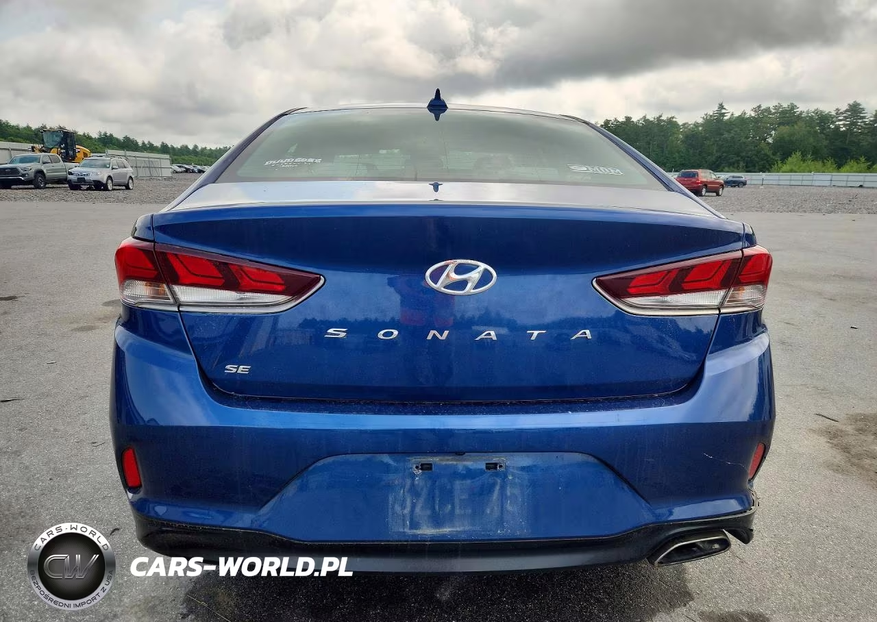 2019 Hyundai Sonata Se VIN:5NPE24AF6KH787827 - 6