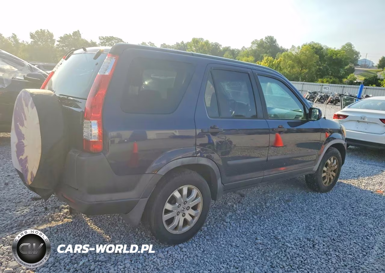 2006 Honda Cr-V Ex VIN:JHLRD78806C020371 - 3