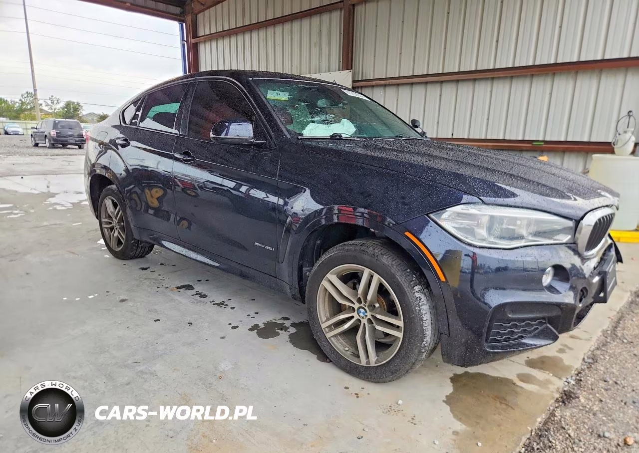 2017 BMW X6 xDrive35I VIN:5UXKU2C39H0X47864 - 4