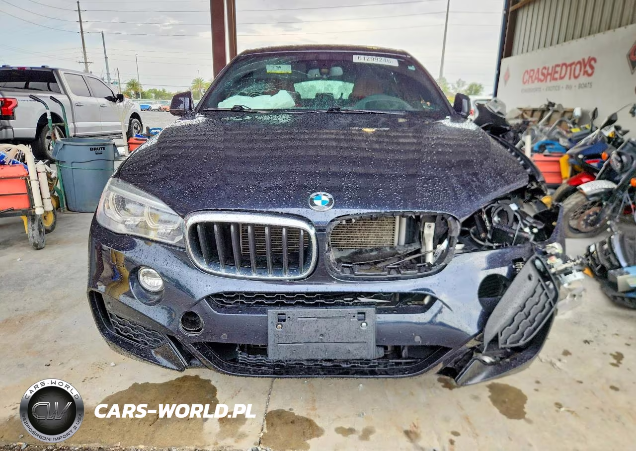 2017 BMW X6 xDrive35I VIN:5UXKU2C39H0X47864 - 5