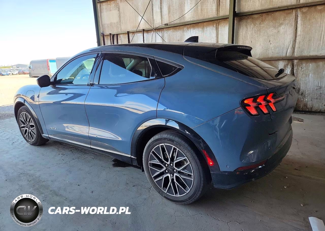 2024 Ford Mustang Mach-E Premium VIN:3FMTK3R42RMA01901 - 2
