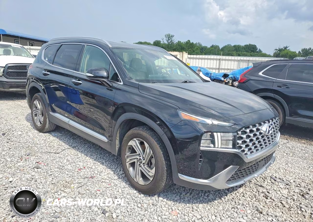 2021 Hyundai Santa Fe Sel VIN:5NMS64AJ3MH323941 - 4