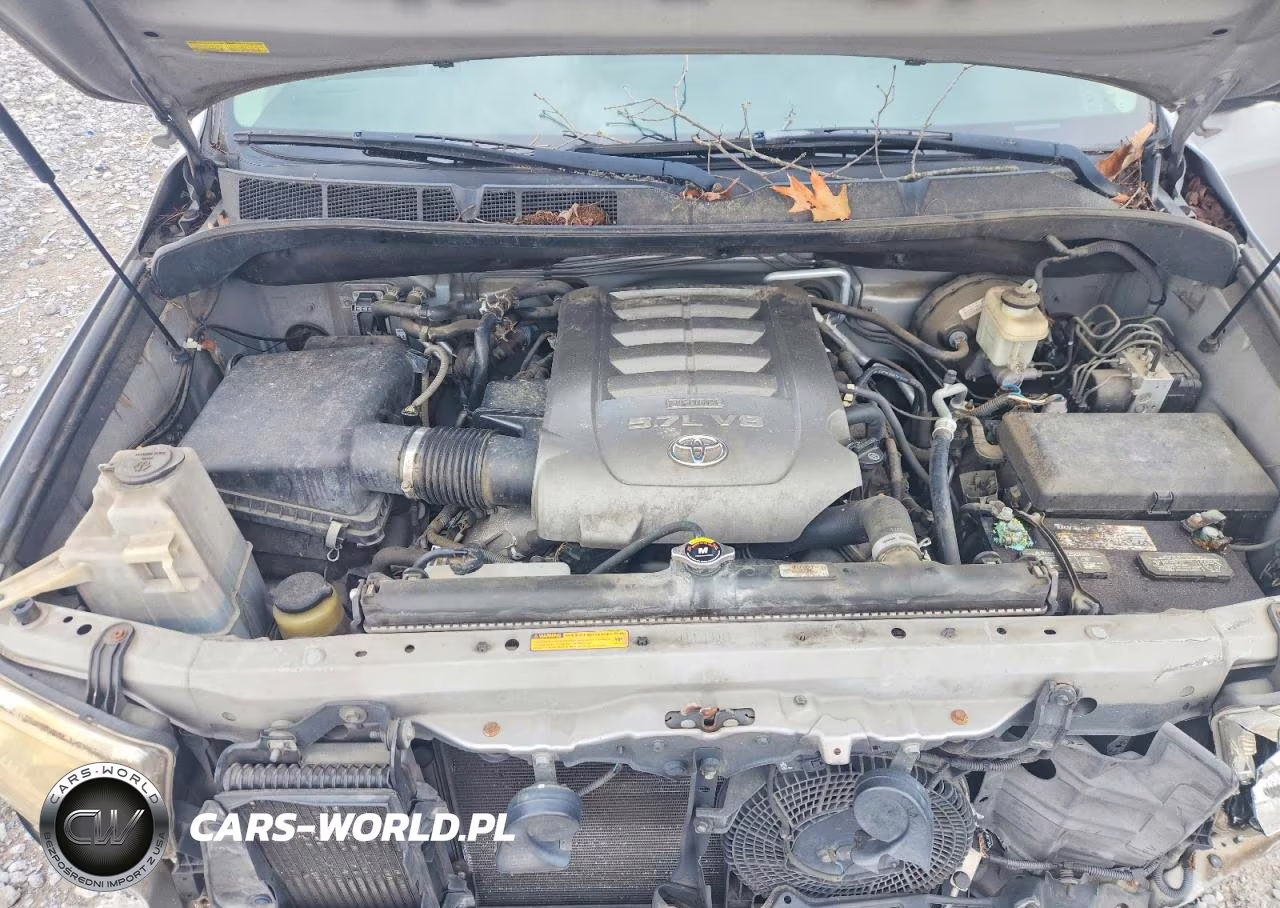 2008 Toyota Sequoia Limited VIN:5TDZY68A98S000040 - 12