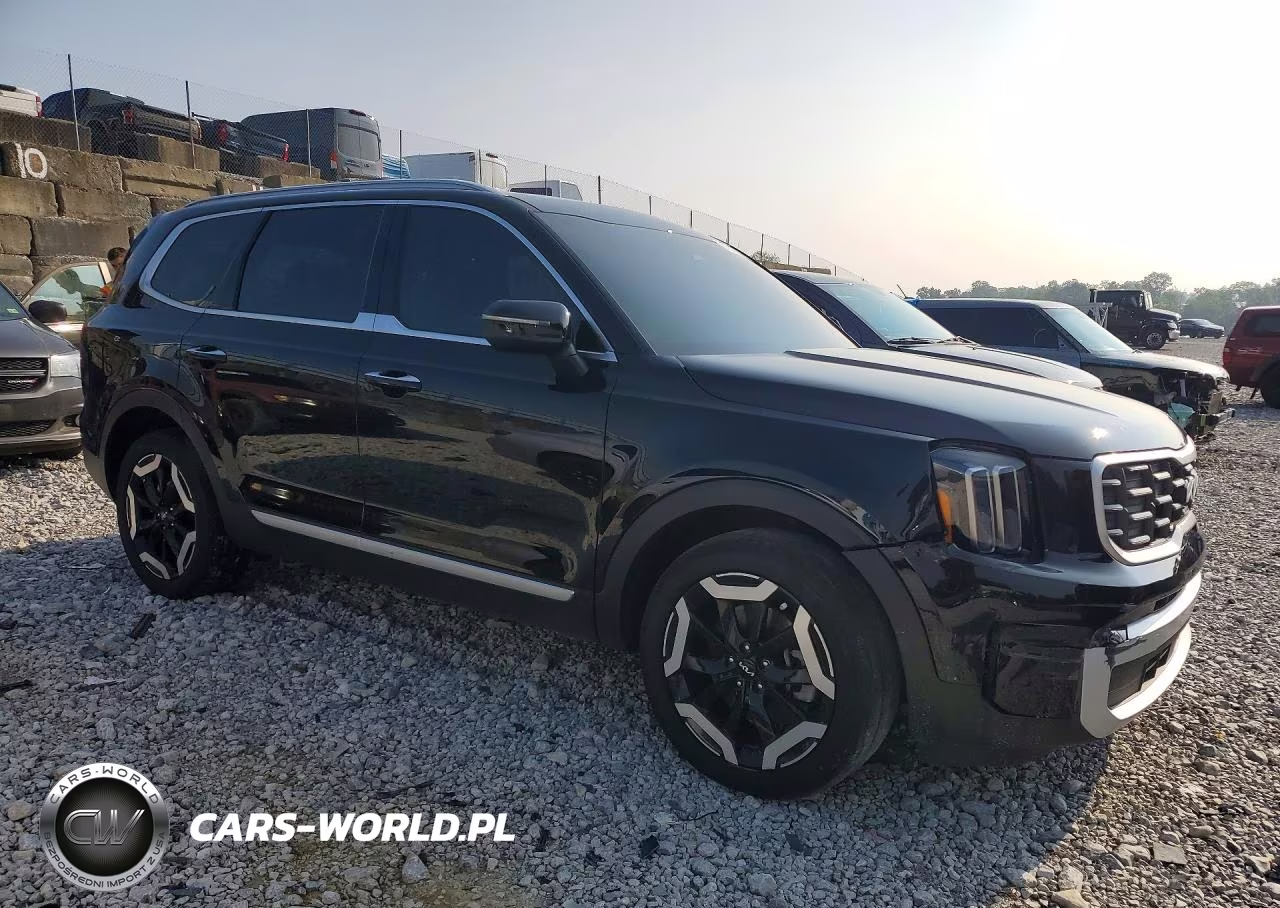 2025 Kia Telluride S VIN:5XYP64GC1SG607154 - 4