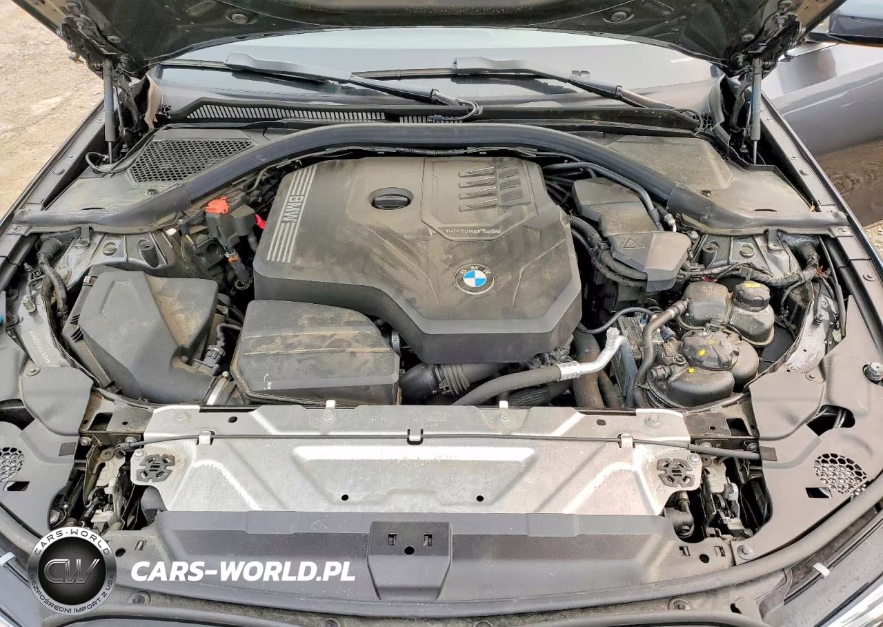2019 BMW 330I VIN:3MW5R1J53K8A04092 - 11