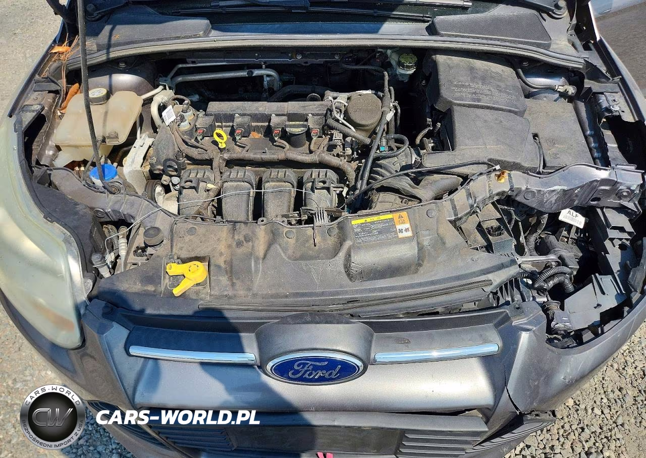 2013 Ford Focus Se VIN:1FADP3K25DL167929 - 11