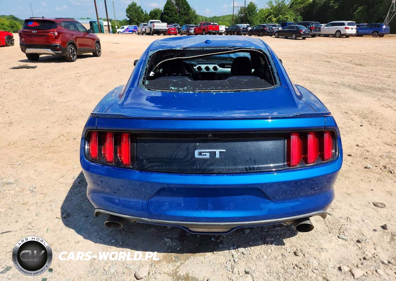 2017 Ford Mustang Gt VIN:1FA6P8CF5H5208819 - 6