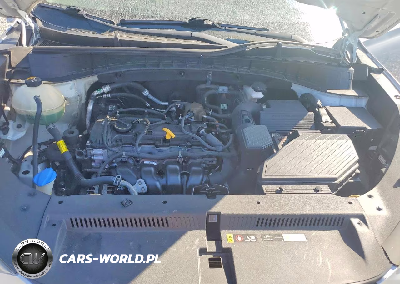 2019 Hyundai Tucson Se VIN:KM8J2CA48KU872192 - 11