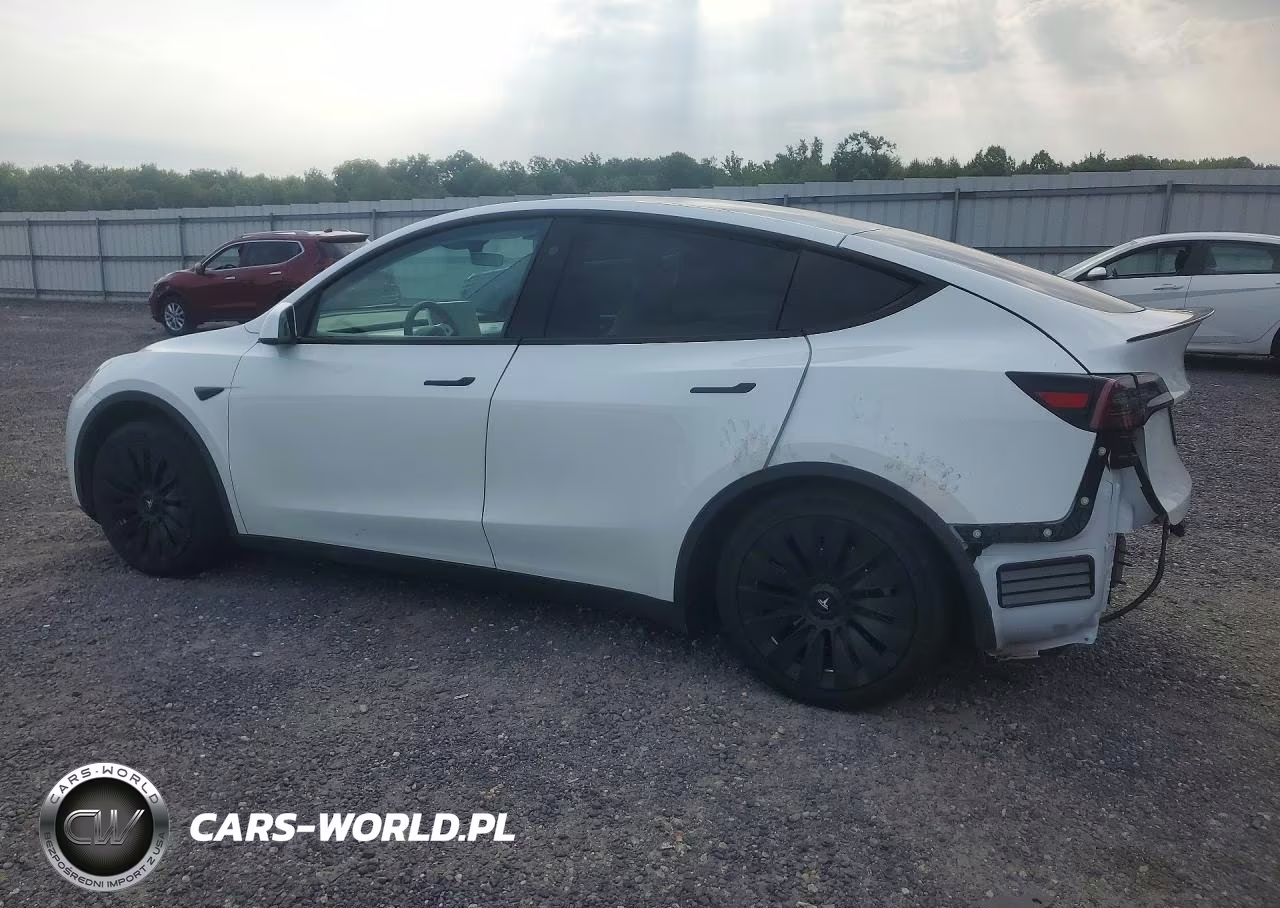 2024 Tesla Model Y VIN:7SAYGAEEXRF073760 - 2