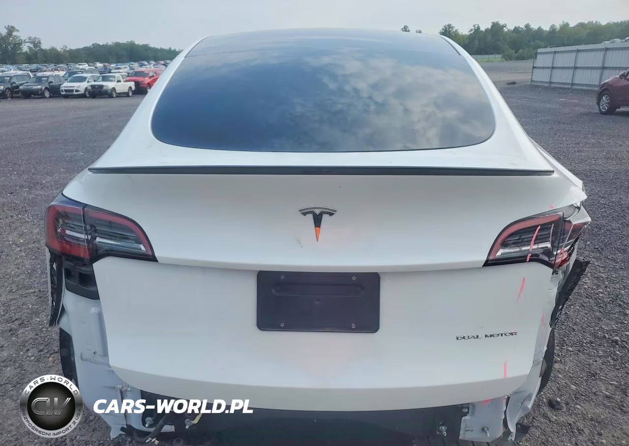 2024 Tesla Model Y VIN:7SAYGAEEXRF073760 - 6