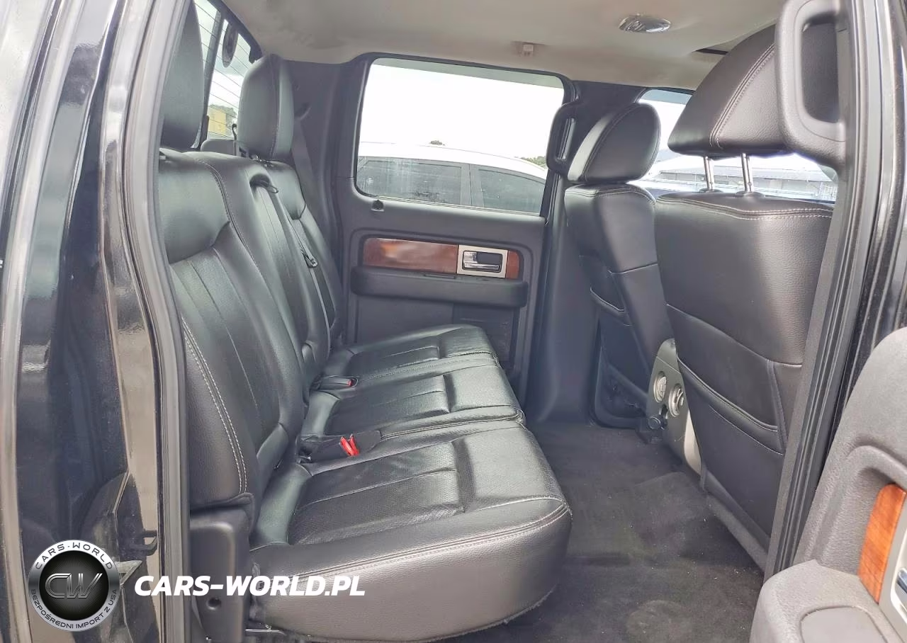 2010 Ford F150 Supercrew VIN:1FTFW1EV8AFA40909 - 10
