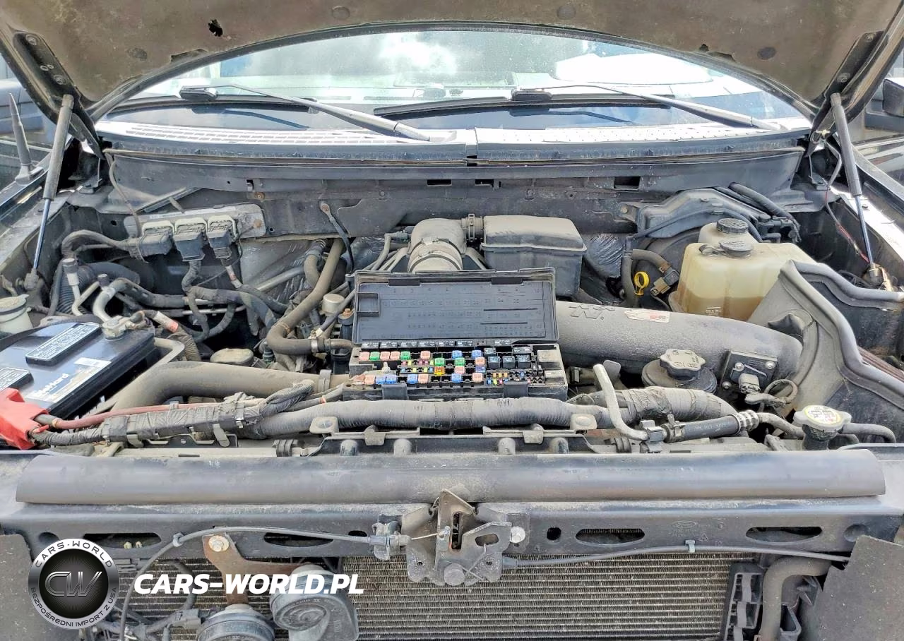 2010 Ford F150 Supercrew VIN:1FTFW1EV8AFA40909 - 11