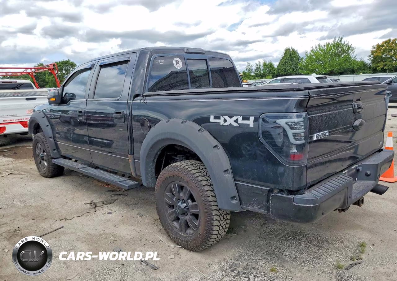 2010 Ford F150 Supercrew VIN:1FTFW1EV8AFA40909 - 2