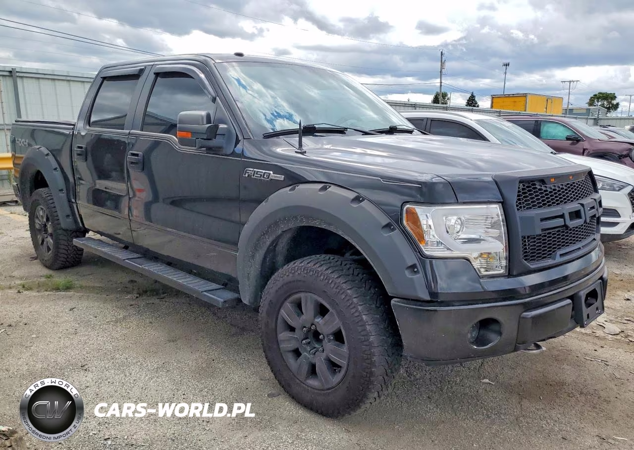 2010 Ford F150 Supercrew VIN:1FTFW1EV8AFA40909 - 4