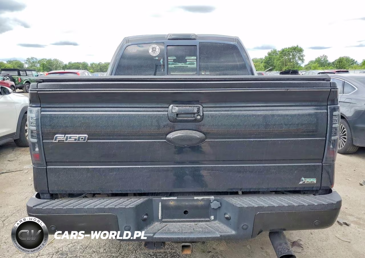 2010 Ford F150 Supercrew VIN:1FTFW1EV8AFA40909 - 6