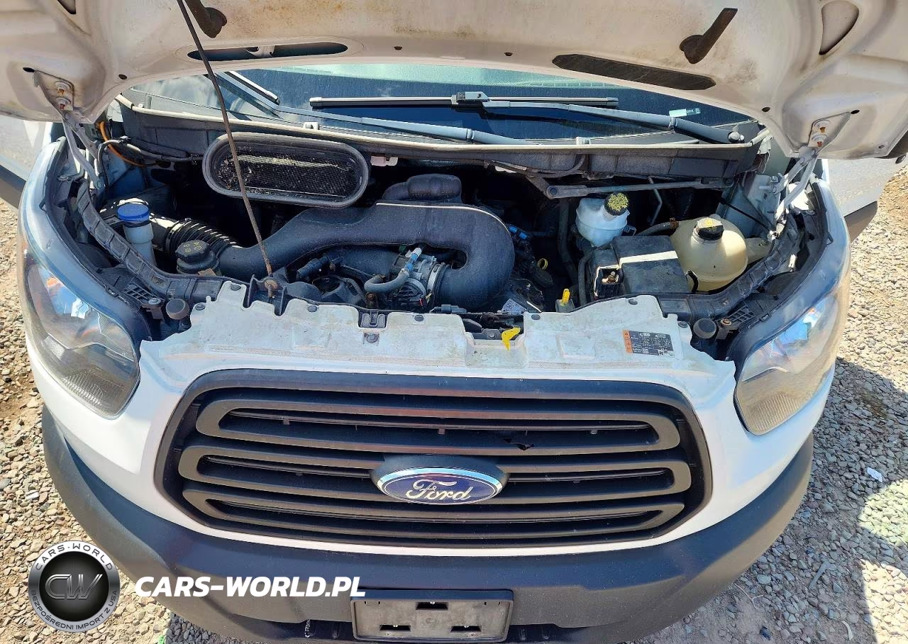 2019 Ford Transit T-150 VIN:1FTYE1YM6KKA32010 - 12