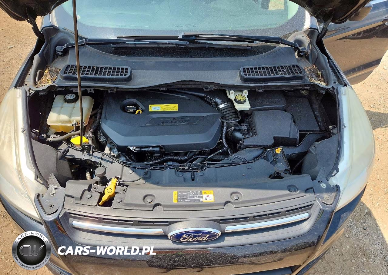 2013 Ford Escape Se VIN:1FMCU9GX0DUB78932 - 12