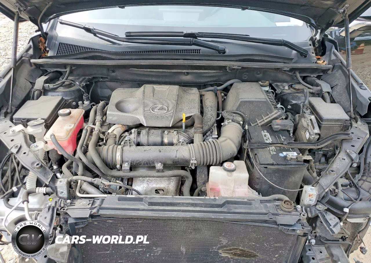 2020 Lexus Nx 300 VIN:JTJGARDZ5L5015896 - 12