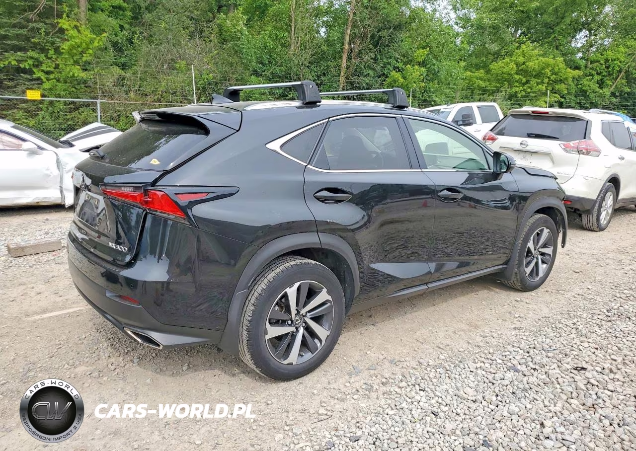 2020 Lexus Nx 300 VIN:JTJGARDZ5L5015896 - 3