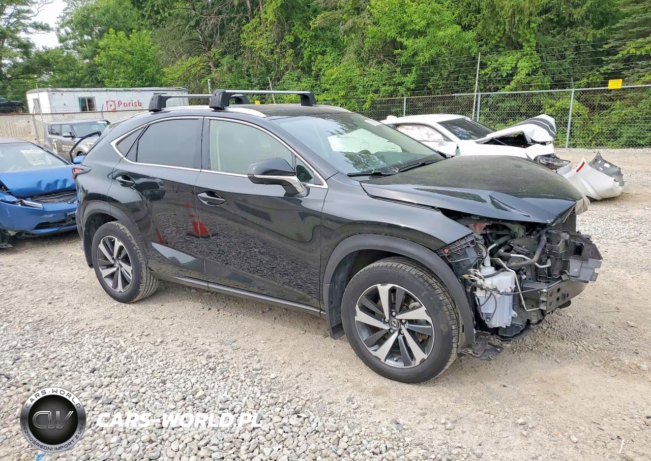 2020 Lexus Nx 300 VIN:JTJGARDZ5L5015896 - 4