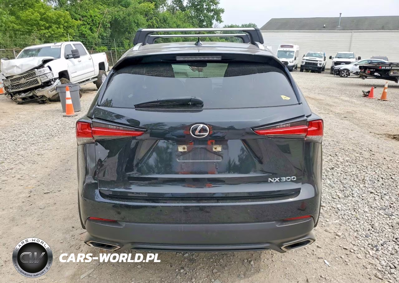 2020 Lexus Nx 300 VIN:JTJGARDZ5L5015896 - 6