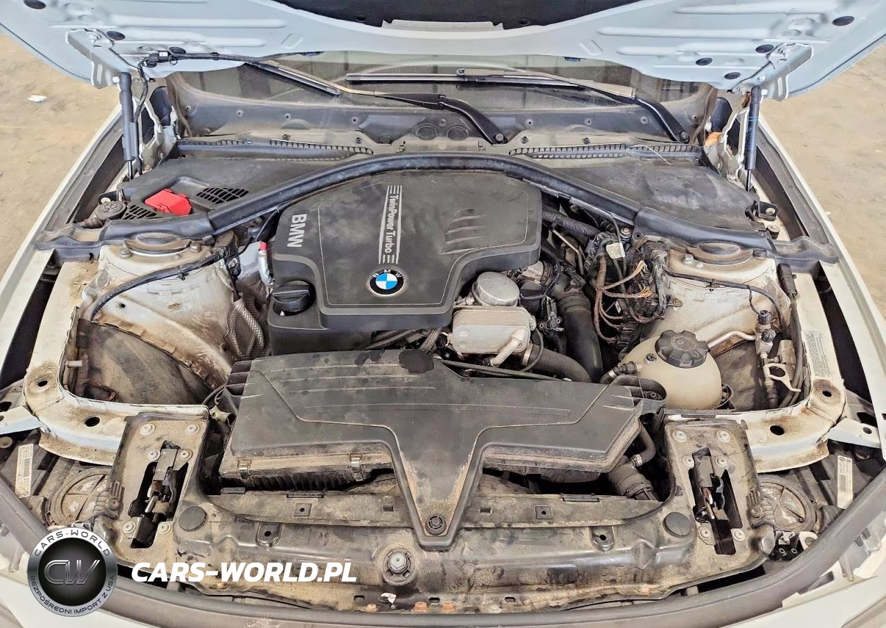 2013 BMW 320 I xDrive VIN:WBA3C3C52DF982613 - 11