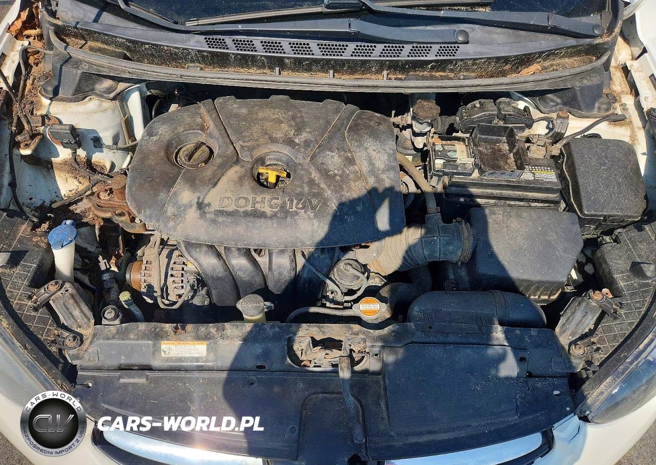 2012 Hyundai Elantra Gls VIN:5NPDH4AE0CH113871 - 11
