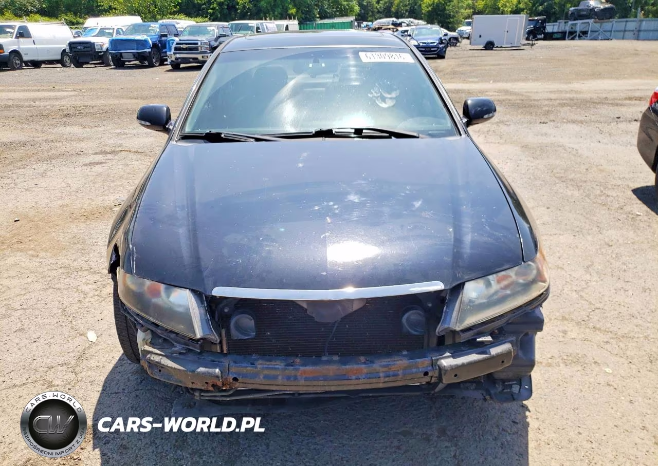 2004 Acura Tsx VIN:JH4CL96864C001159 - 5