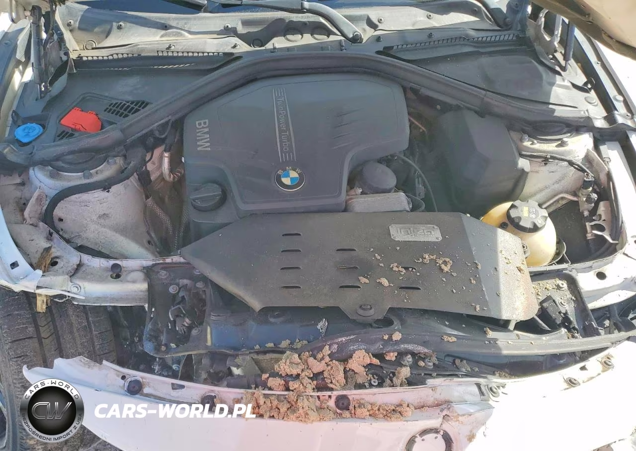 2016 BMW 428 Xi VIN:WBA3N9C50GK250862 - 11