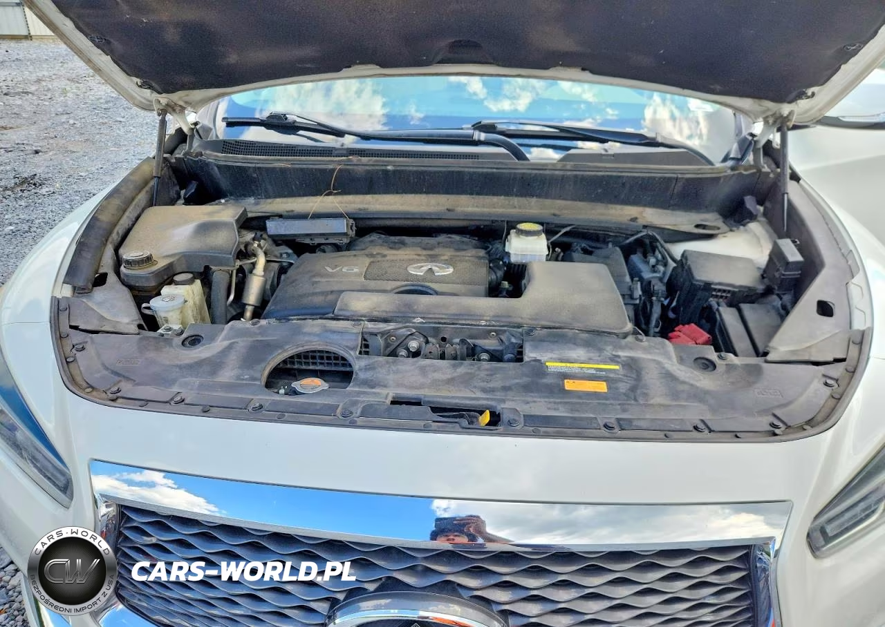 2019 Infiniti Qx60 Pure VIN:5N1DL0MN7KC524127 - 11