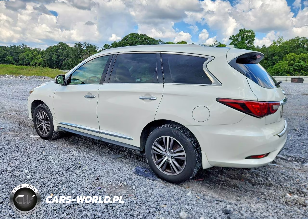 2019 Infiniti Qx60 Pure VIN:5N1DL0MN7KC524127 - 2