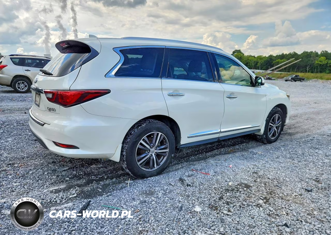2019 Infiniti Qx60 Pure VIN:5N1DL0MN7KC524127 - 3